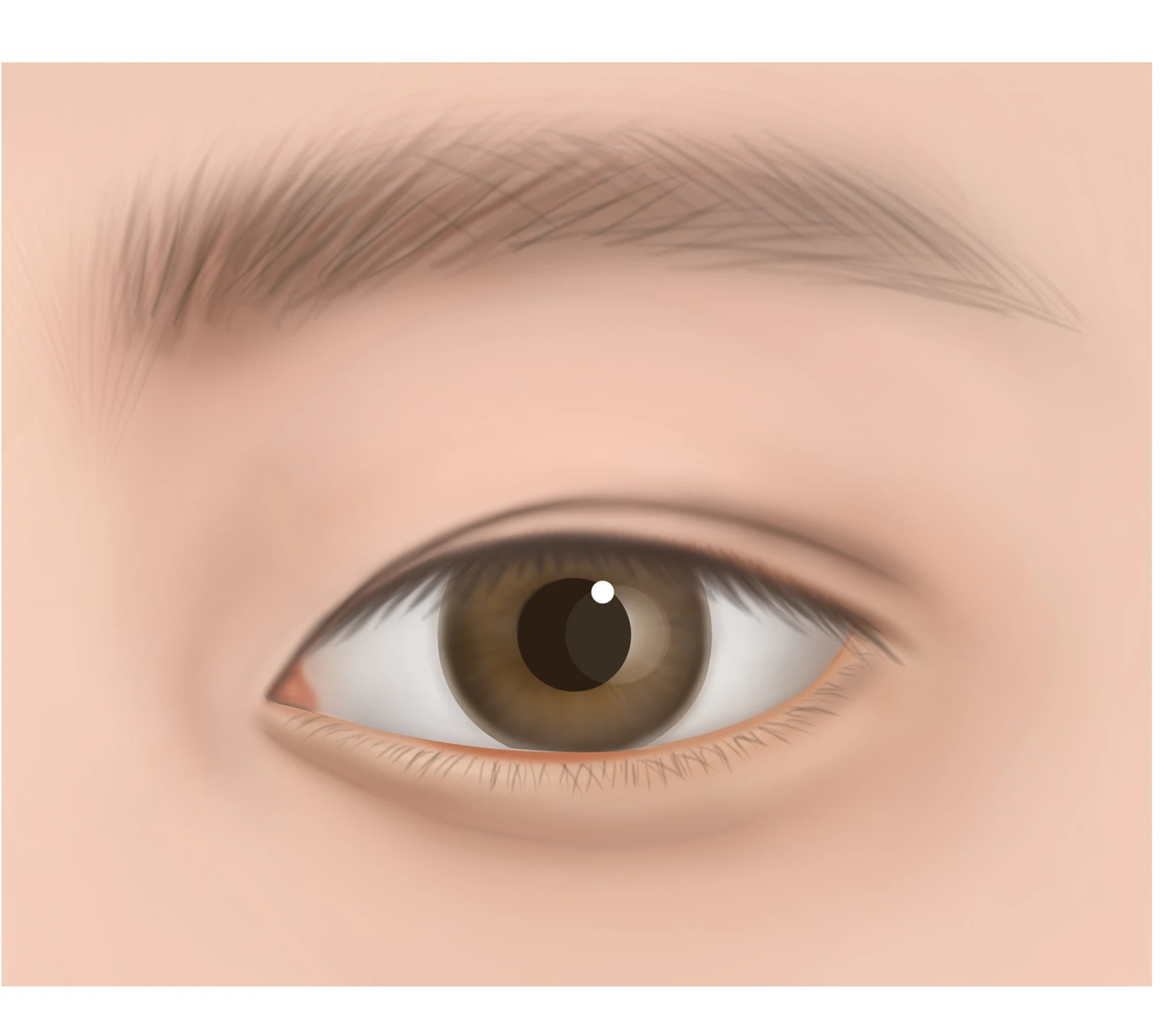 インライン（インライン）