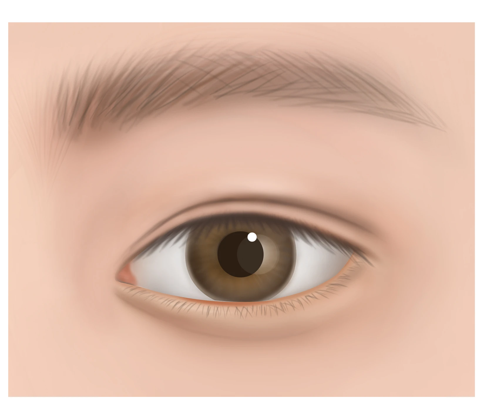 セミアウトライン