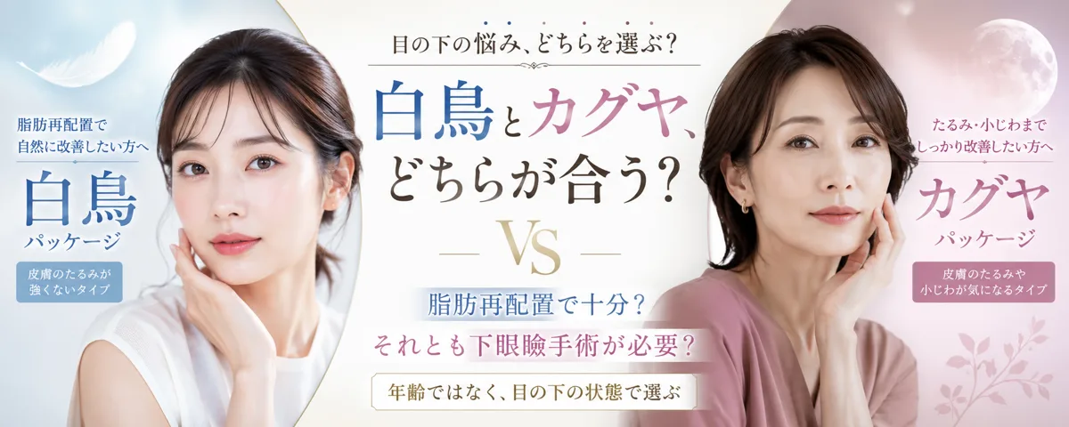 関連画像