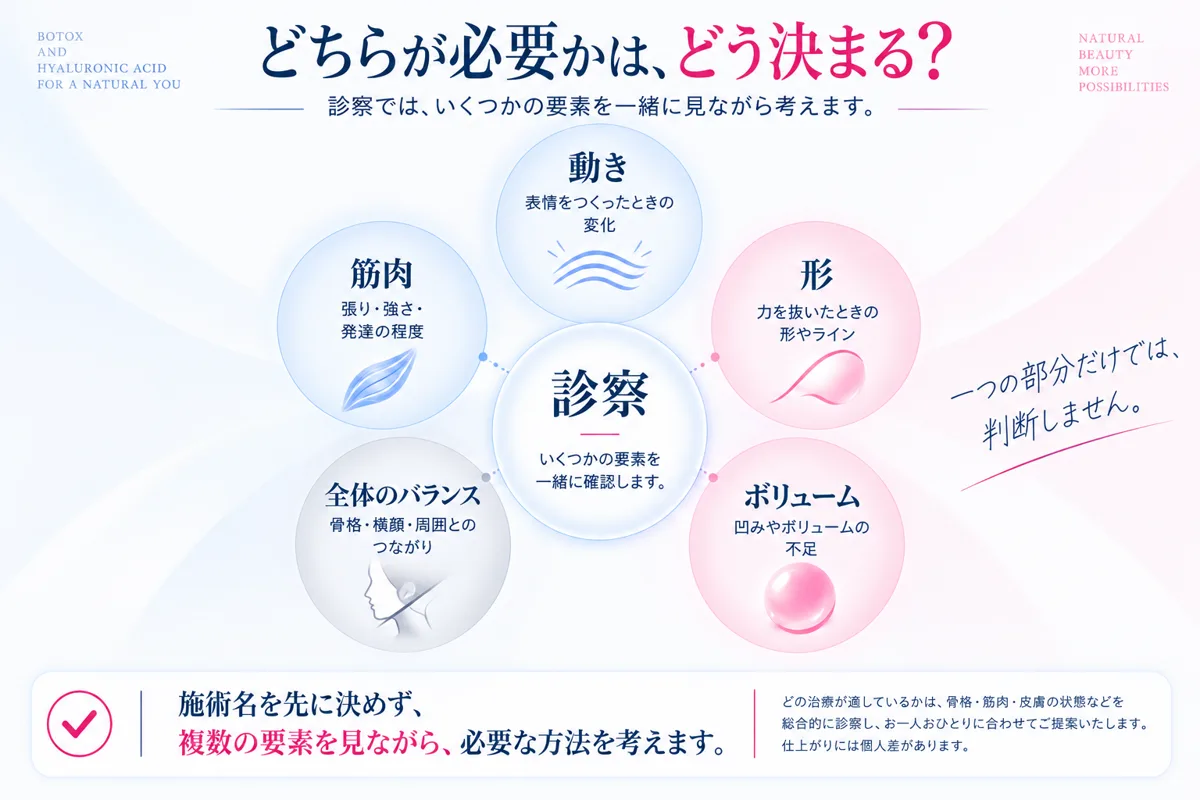 関連画像