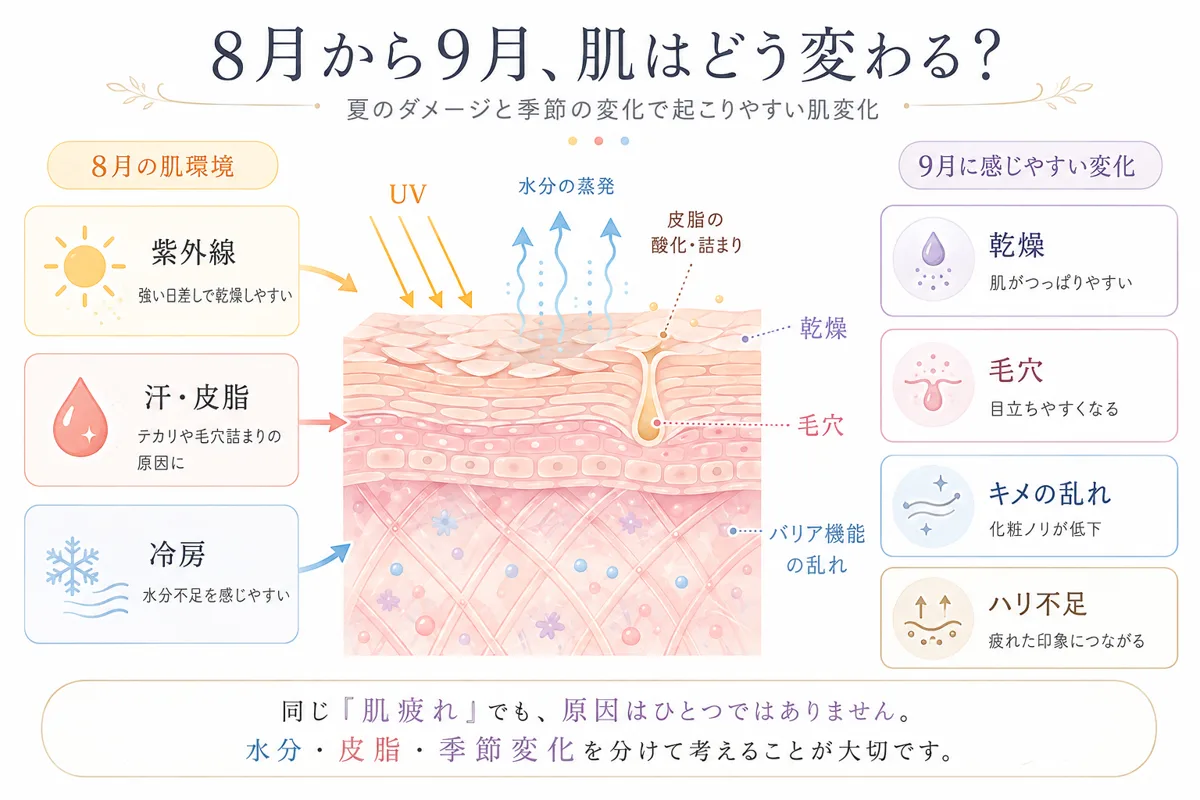 関連画像