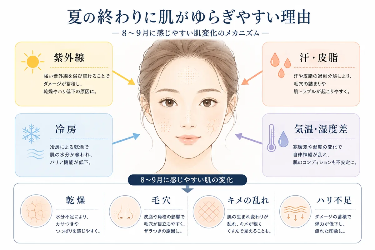 関連画像