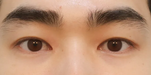 関連画像