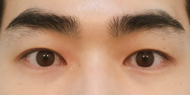 関連画像
