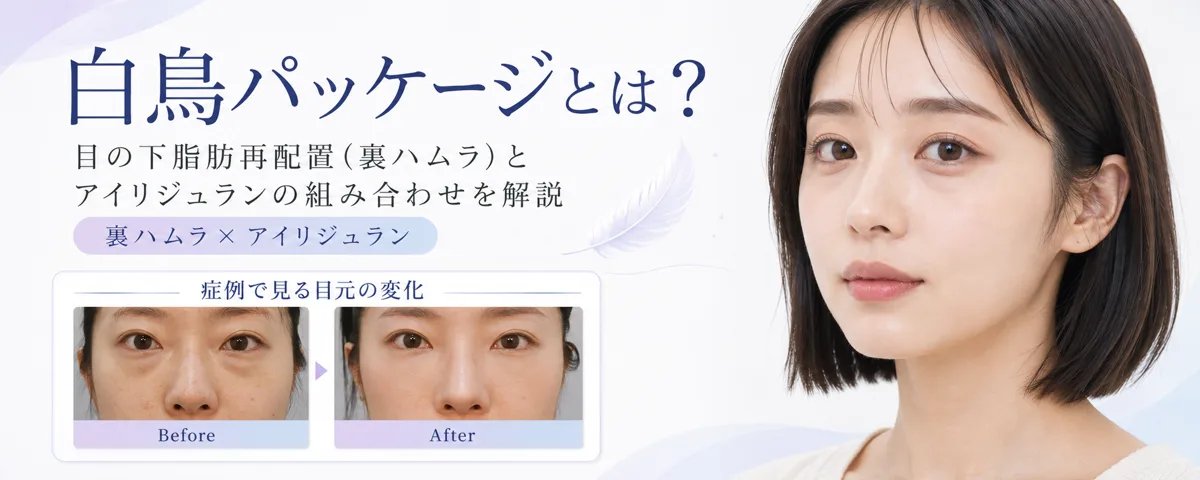 関連画像