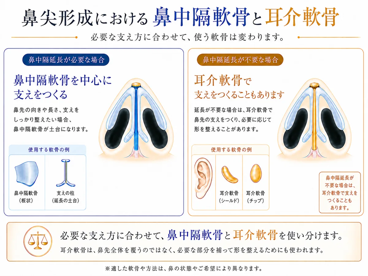 関連画像