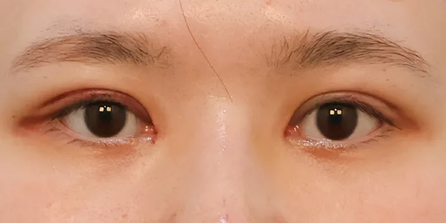 関連画像