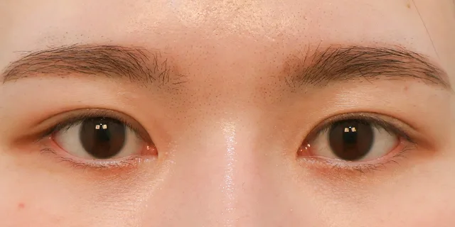 関連画像