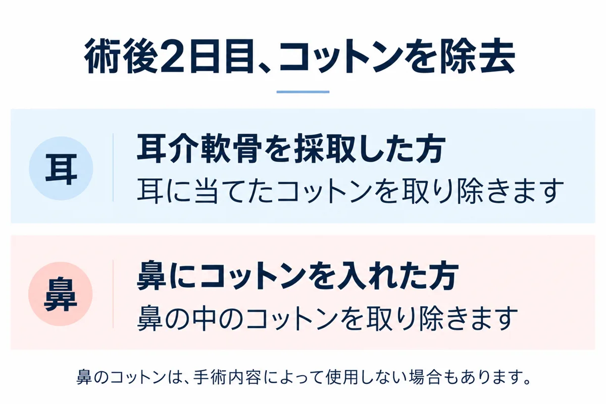 関連画像